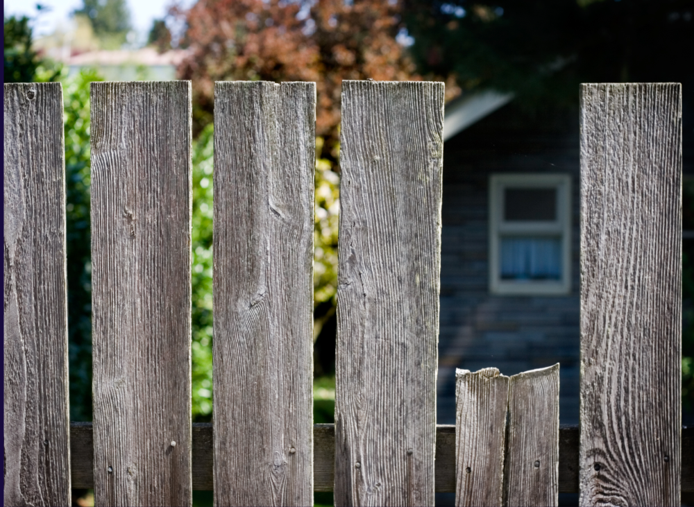 Broken fence between neighbour's houses